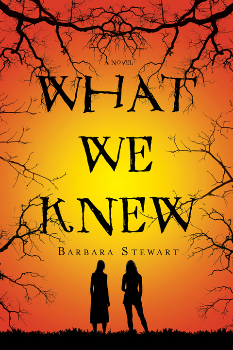 Cover image for book What We Knew