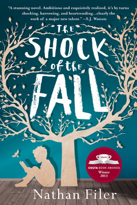 Cover image for book The Shock of the Fall