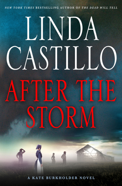 Cover image for book After the Storm