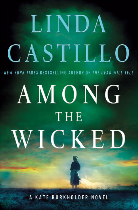 Cover image for book Among the Wicked