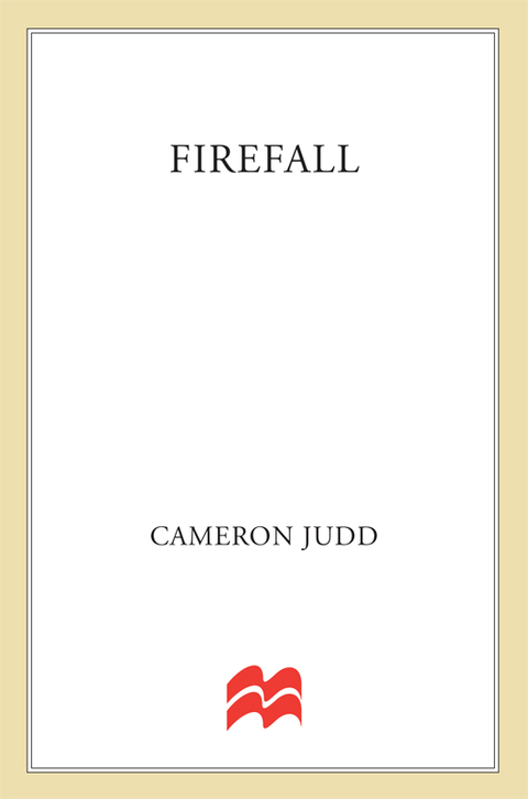 Cover image for book Firefall