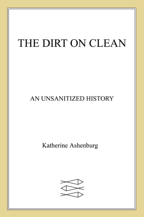 Cover image for book The Dirt on Clean