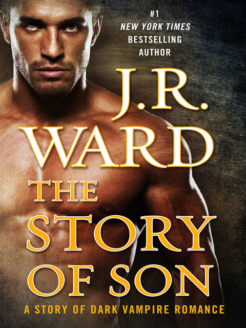 Cover image for book The Story of Son
