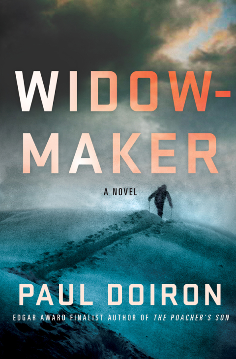 Cover image for book Widowmaker