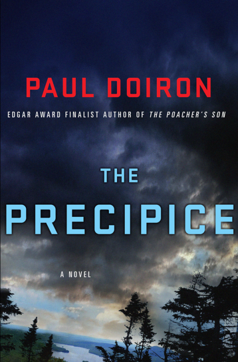 Cover image for book The Precipice