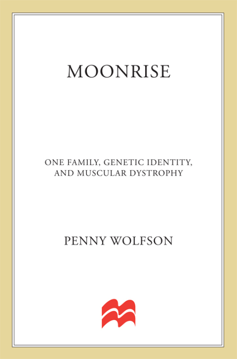 Cover image for book Moonrise