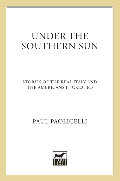 Cover image for book Under the Southern Sun