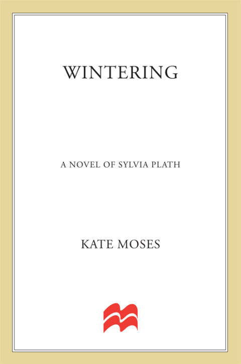 Cover image for book Wintering