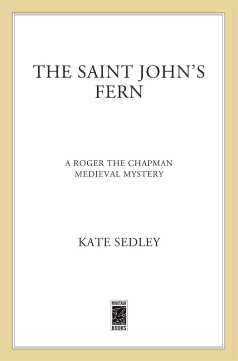 Cover image for book The Saint John's Fern