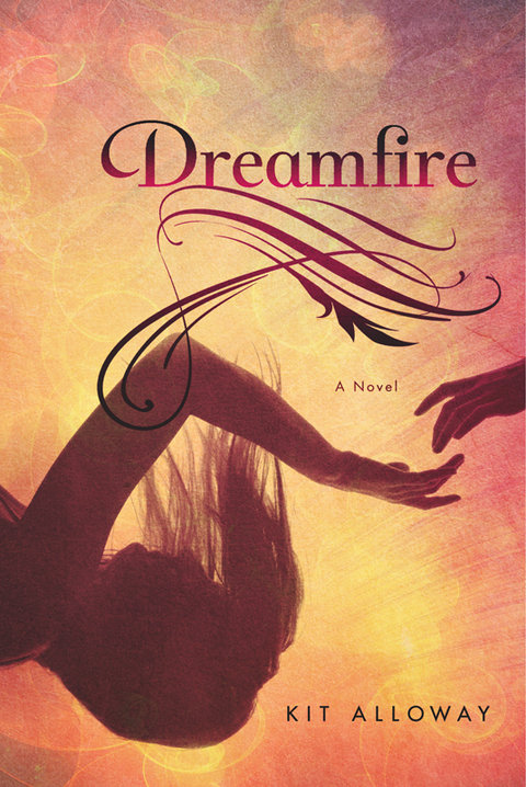 Cover image for book Dreamfire