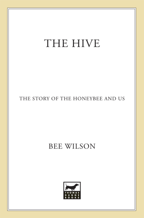 Cover image for book The Hive