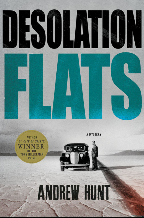 Cover image for book Desolation Flats