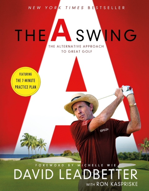 Cover image for book The Swing