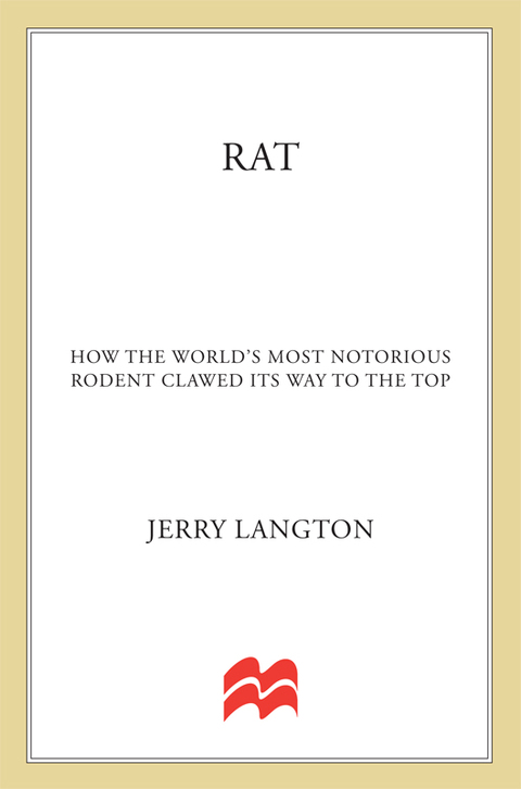 Cover image for book Rat