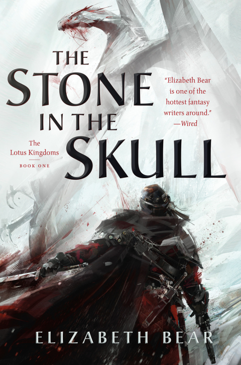 Cover image for book The Stone in the Skull