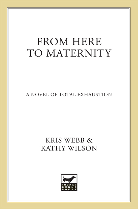 Cover image for book From Here to Maternity