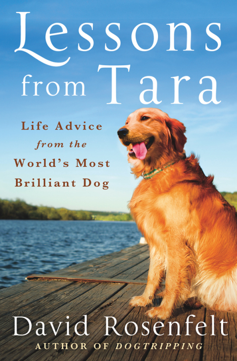 Cover image for book Lessons from Tara