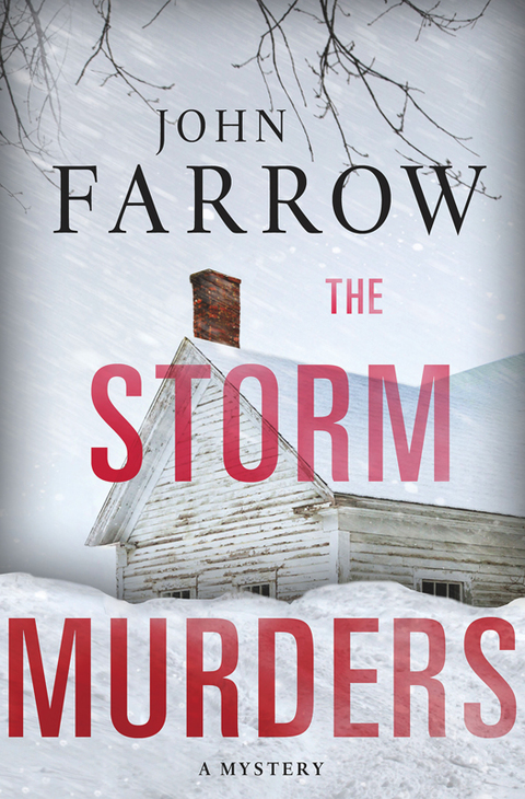Cover image for book The Storm Murders
