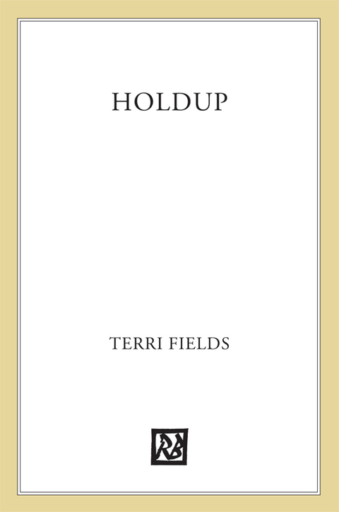 Cover image for book Holdup