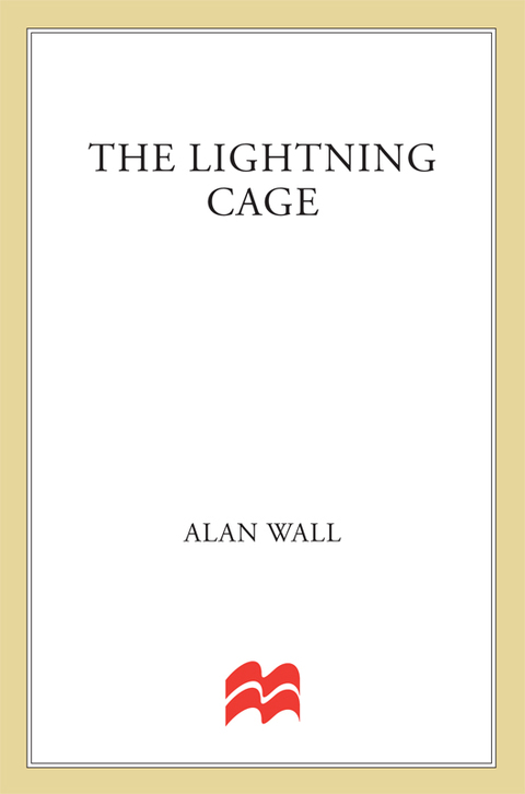 Cover image for book The Lightning Cage