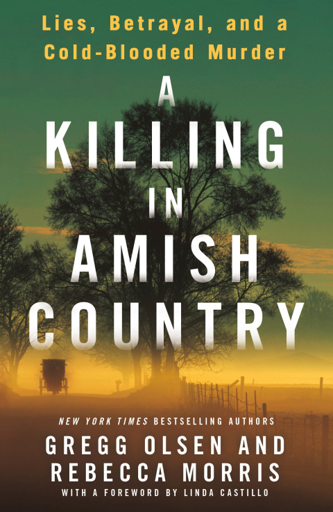Cover image for book A Killing in Amish Country