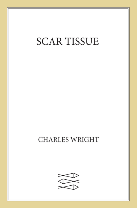 Cover image for book Scar Tissue