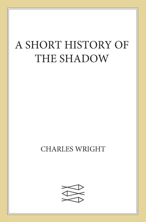 Cover image for book A Short History of the Shadow