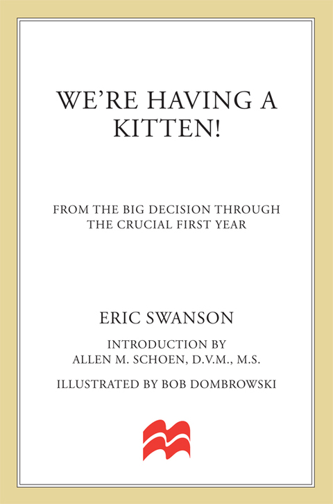 Cover image for book We're Having a Kitten!