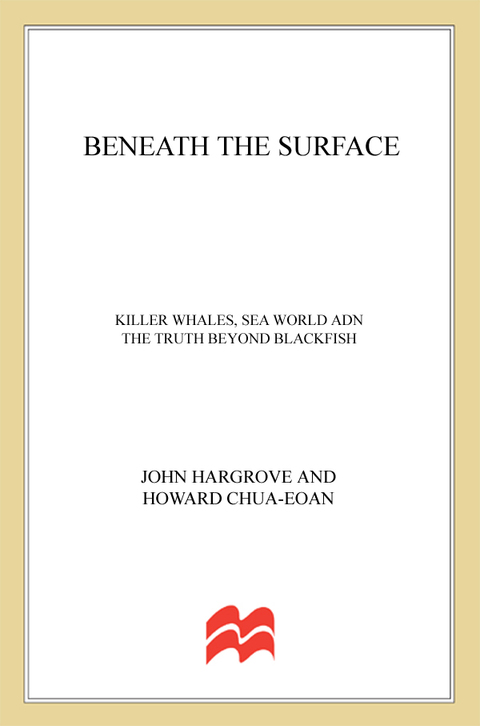 Cover image for book Beneath the Surface