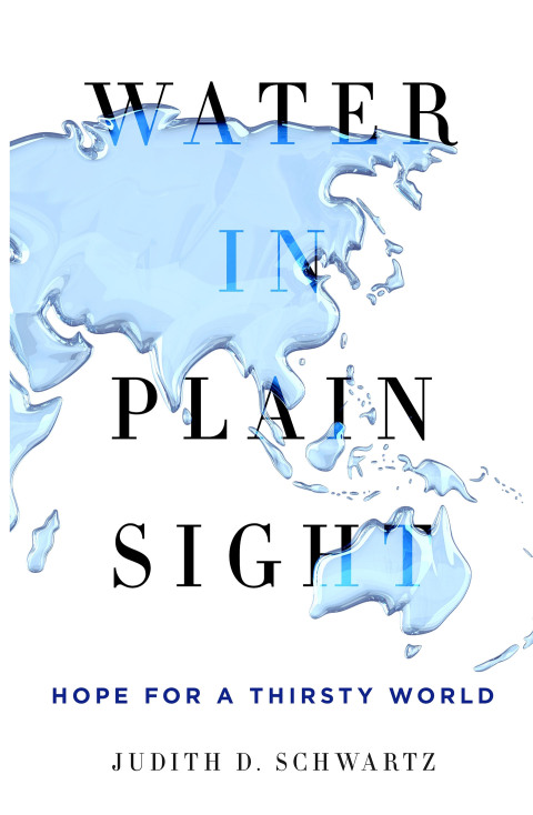 Cover image for book Water in Plain Sight