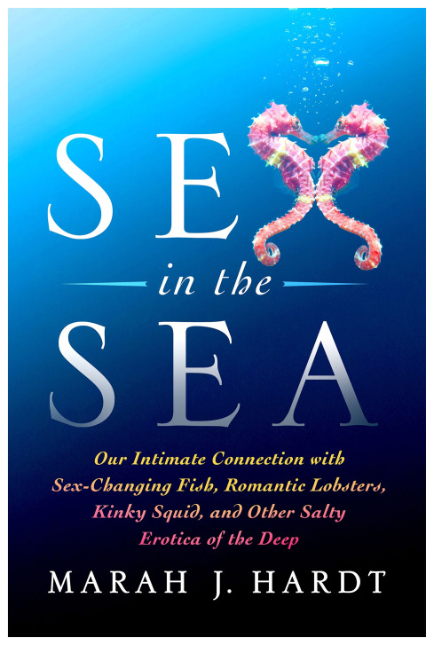 Cover image for book Sex in the Sea