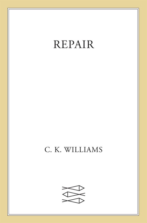 Cover image for book Repair