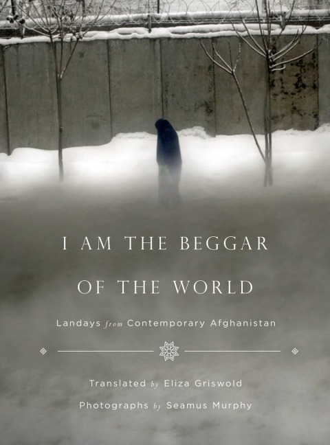 Cover image for book I Am the Beggar of the World