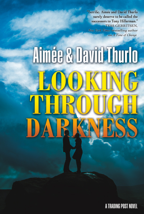 Cover image for book Looking Through Darkness
