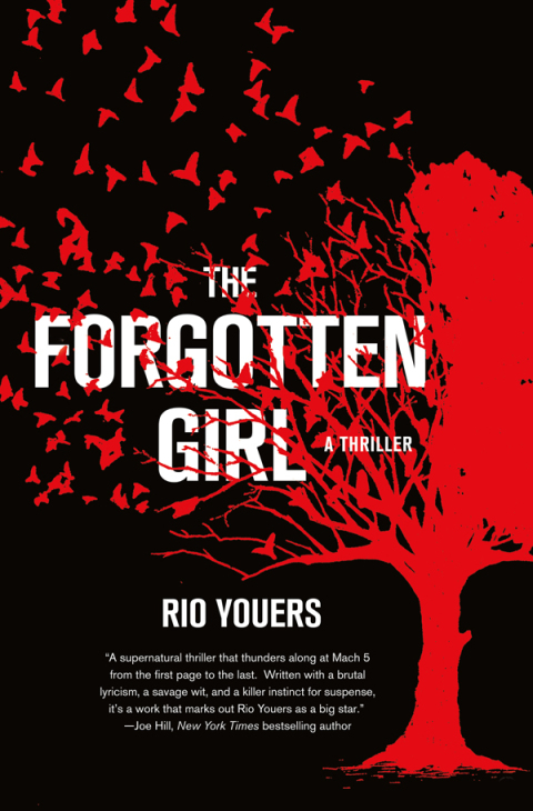 Cover image for book The Forgotten Girl