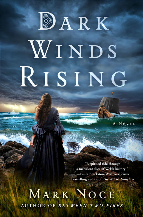 Cover image for book Dark Winds Rising