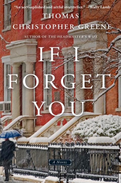 Cover image for book If I Forget You