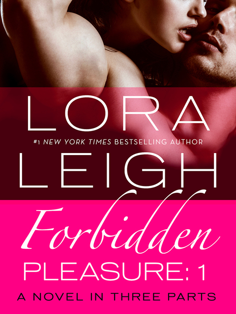 Cover image for book Forbidden Pleasure: Part 1