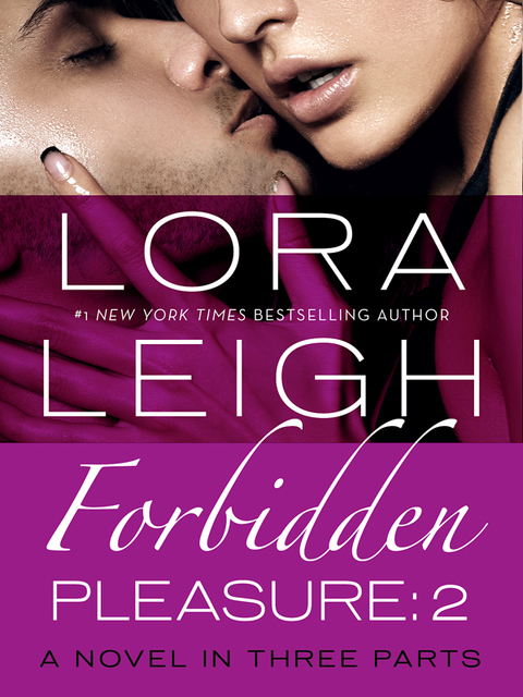 Cover image for book Forbidden Pleasure: Part 2