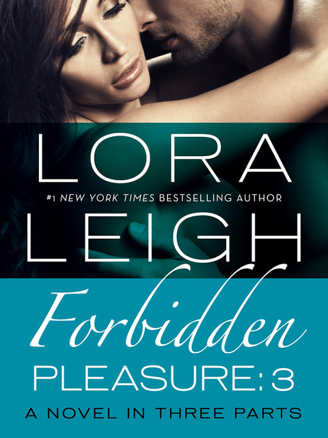 Cover image for book Forbidden Pleasure: Part 3
