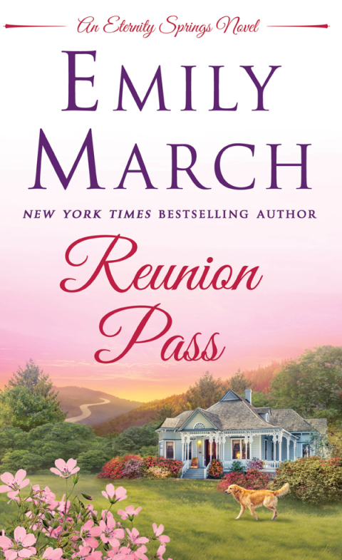 Cover image for book Reunion Pass