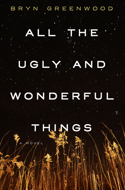 Cover image for book All the Ugly and Wonderful Things