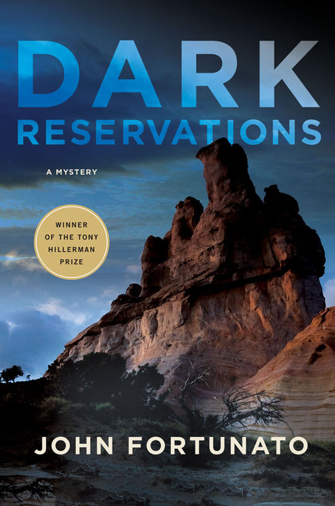 Cover image for book Dark Reservations