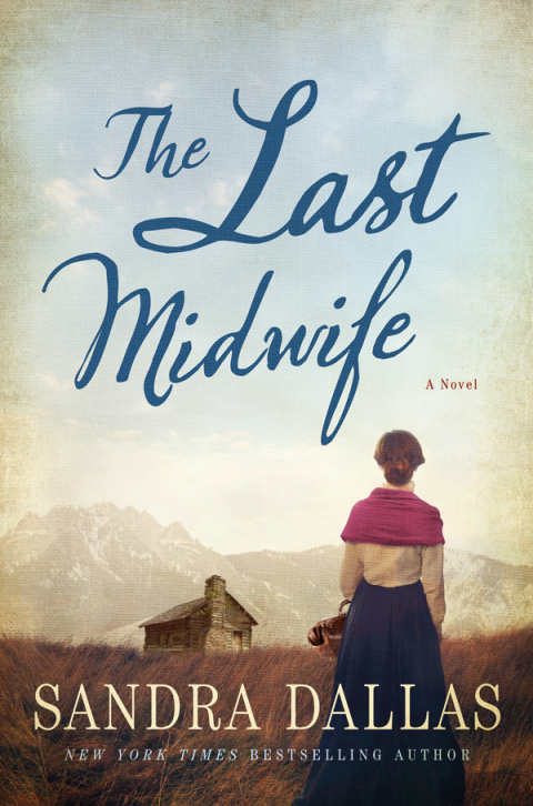 Cover image for book The Last Midwife