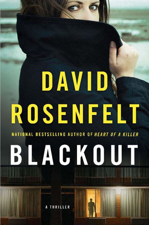 Cover image for book Blackout