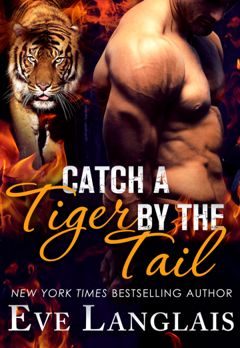 Cover image for book Catch a Tiger by the Tail