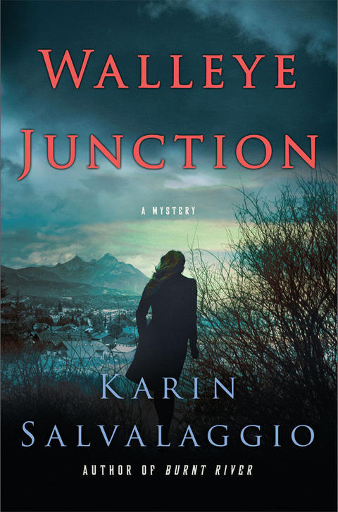 Cover image for book Walleye Junction