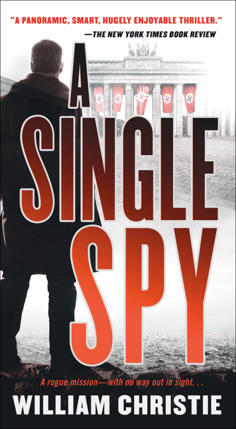 Cover image for book A Single Spy