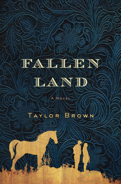 Cover image for book Fallen Land