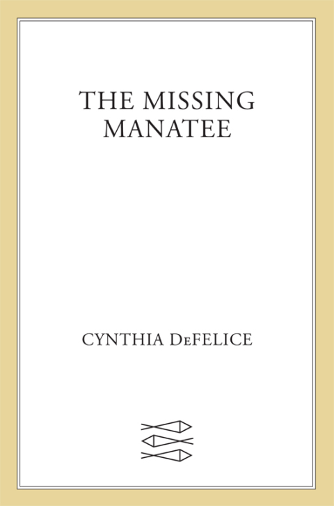 Cover image for book The Missing Manatee